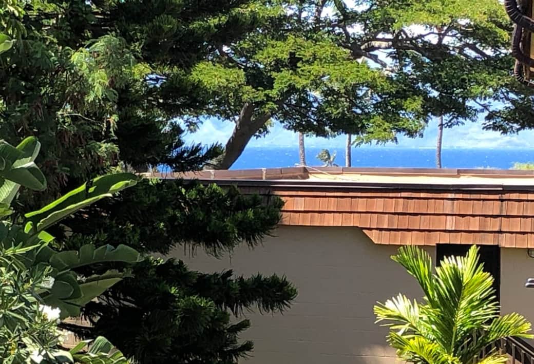 Peek-a-boo ocean view from the lanai.