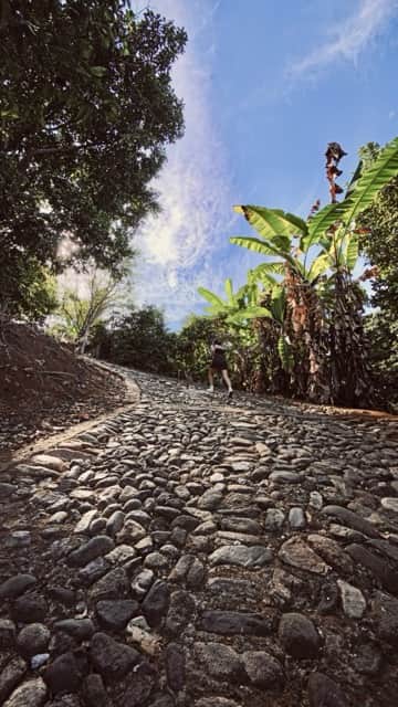 Cobblestone path leading down to Cerrito Encantado between banana trees