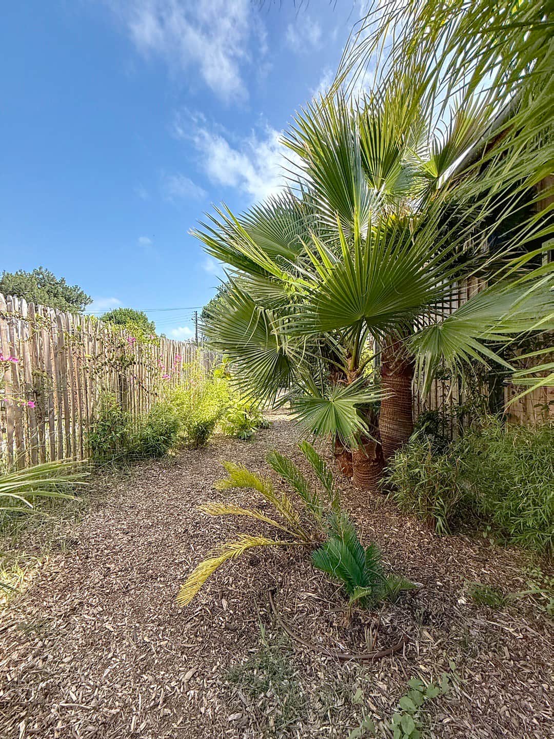 Villa Madalena — photo 5