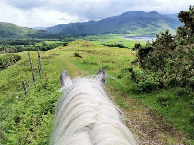 View over a Highland pony’s ears towards the hills and Loch na Keal on a Mull Pony Trekking outing