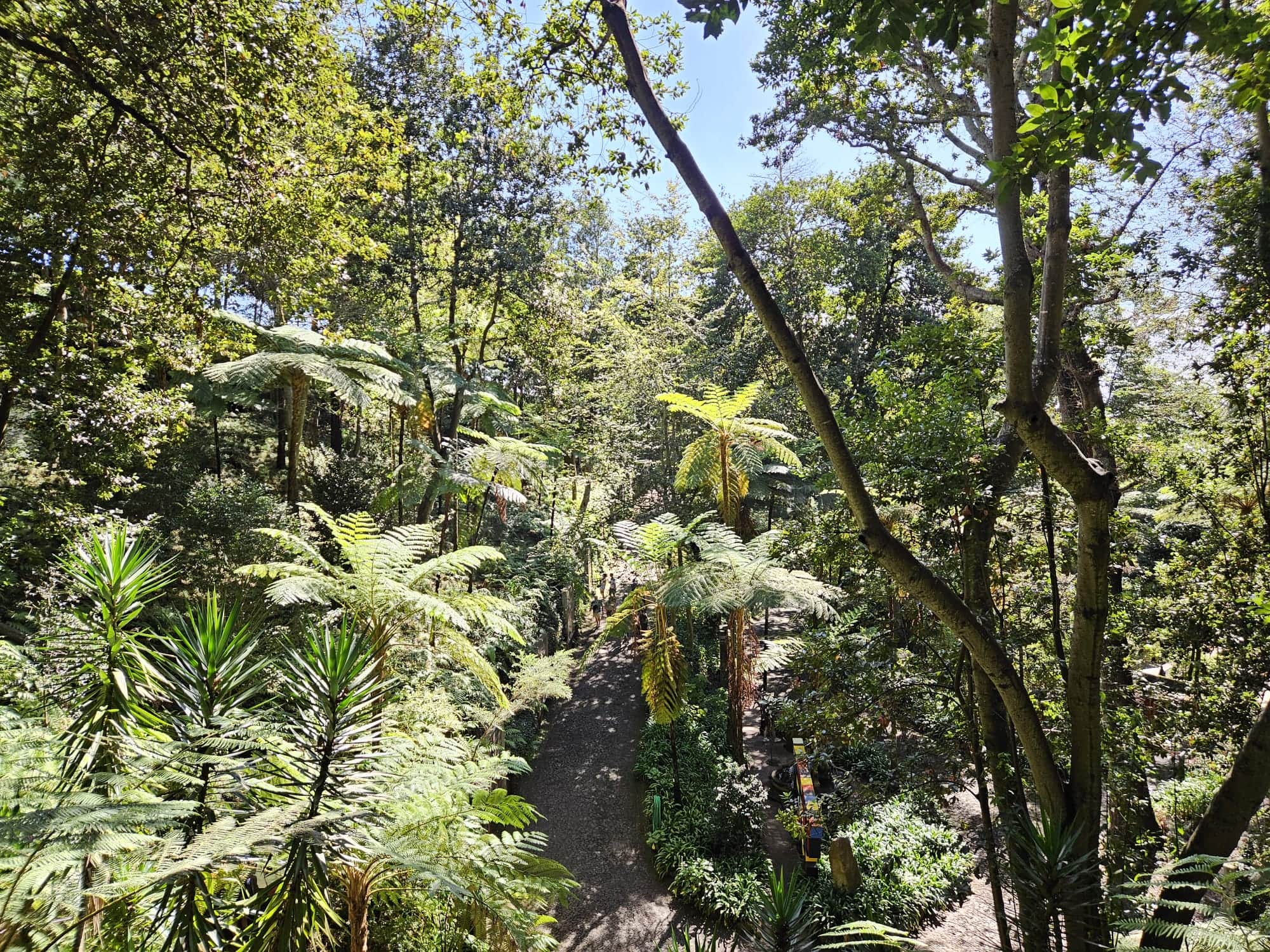 Botanischer Garten Monte Palace