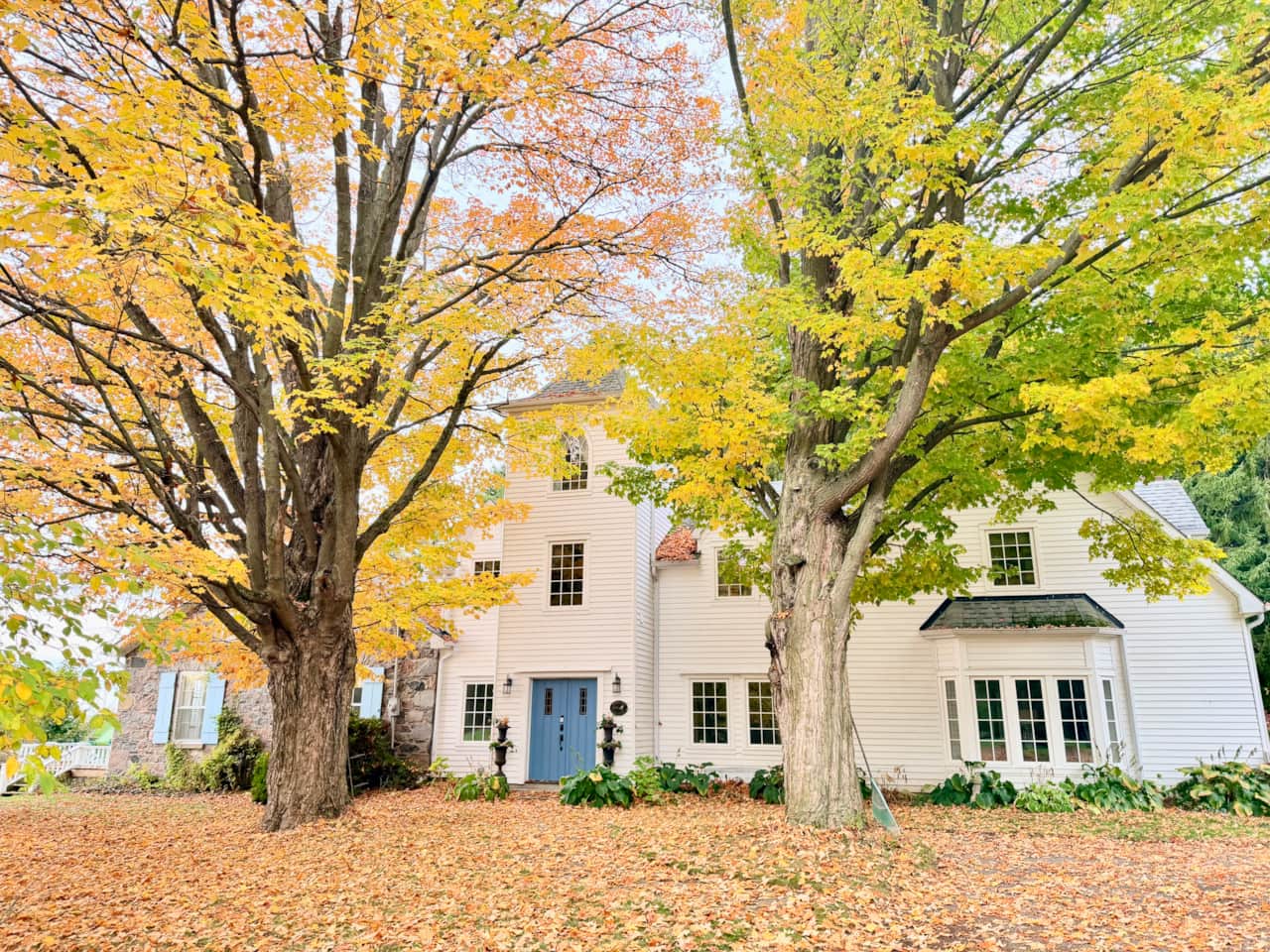 Your stay includes the entire clapboard house, offering views of Ste. Anne’s and Lake Ontario.