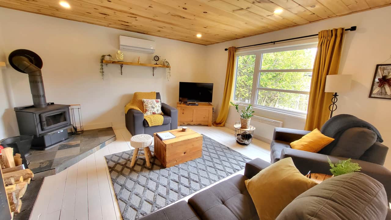 Salon avec foyer au bois