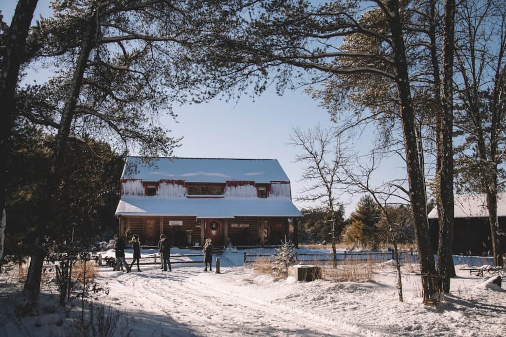 A secluded cabin for all seasons.