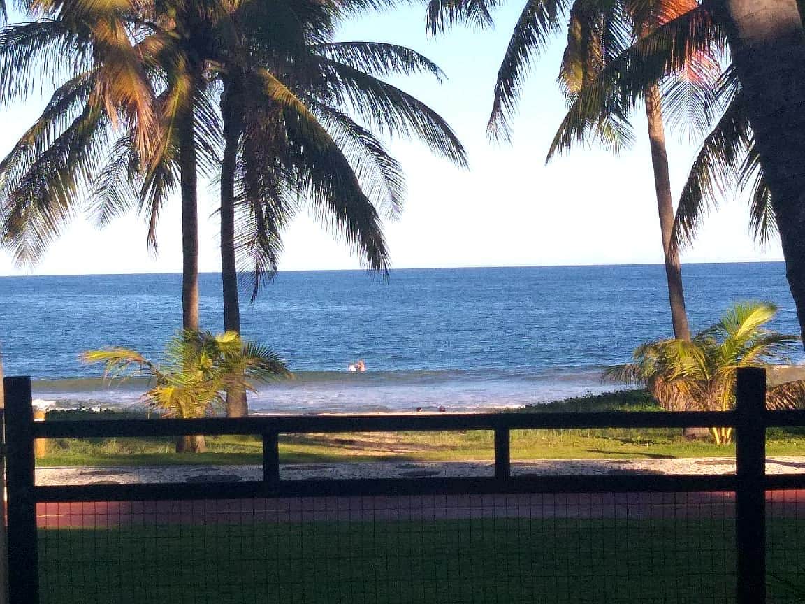 Vista do jardim
