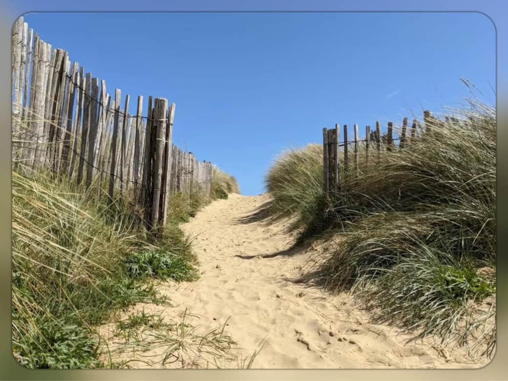 Dunes