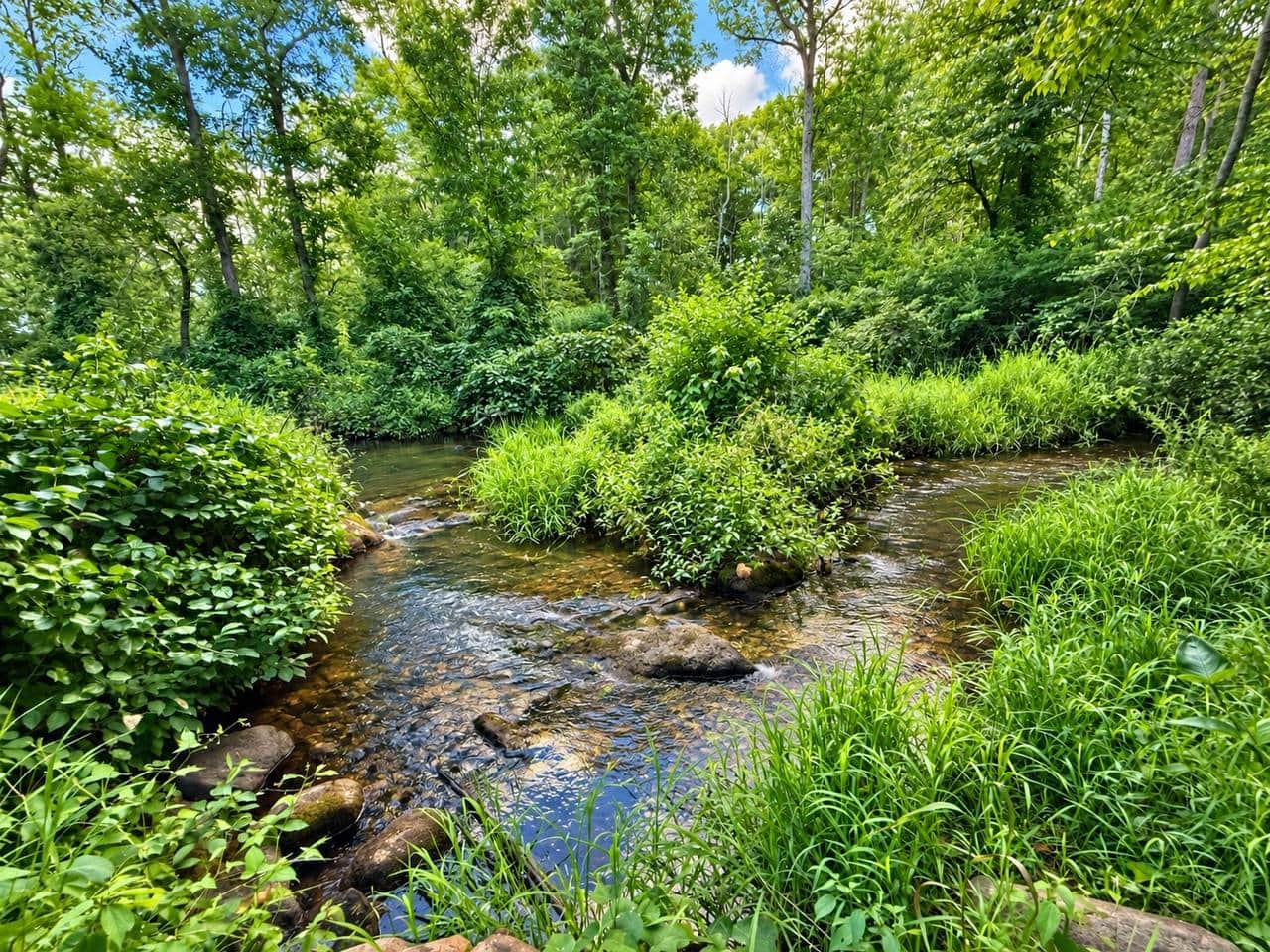 Culvers Creek 