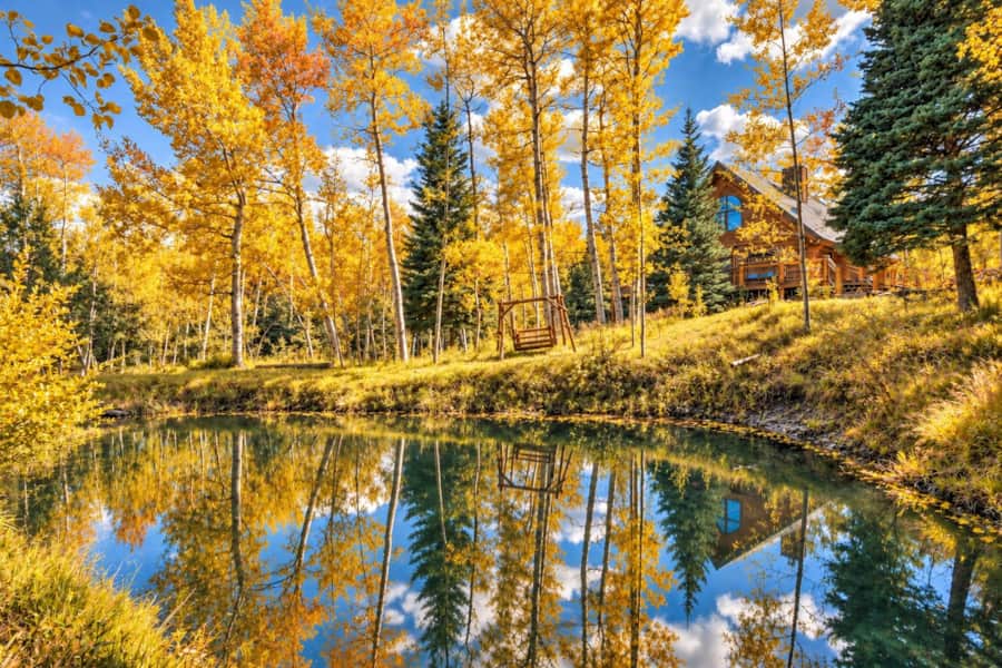Golden fall aspens reflected in the spring-fed pond at A Creek Runs Through It in Westcliffe