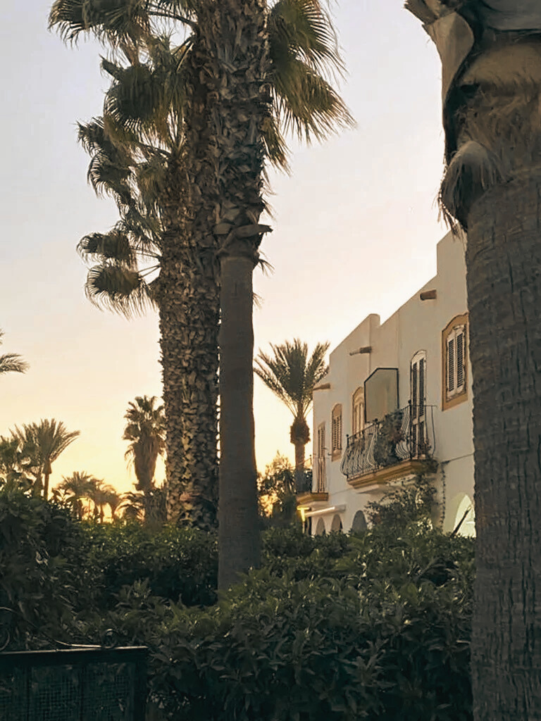 Idyllischer Sonnenuntergang Idyllischer Sonnenuntergang