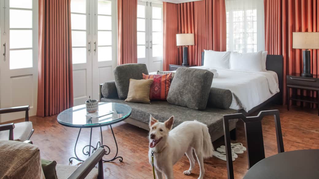 The Banaba Suite is also a pet favorite!