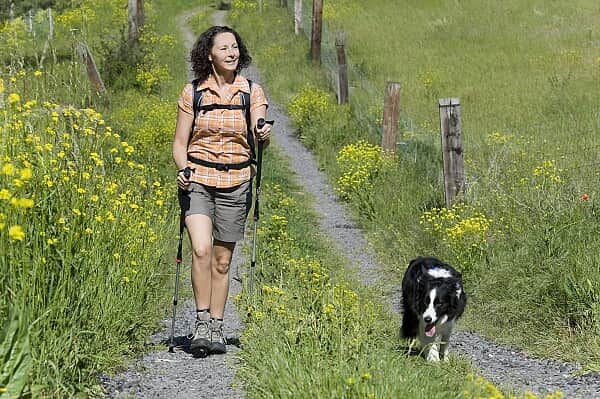 Wandern mit Hund Wandern mit Hund