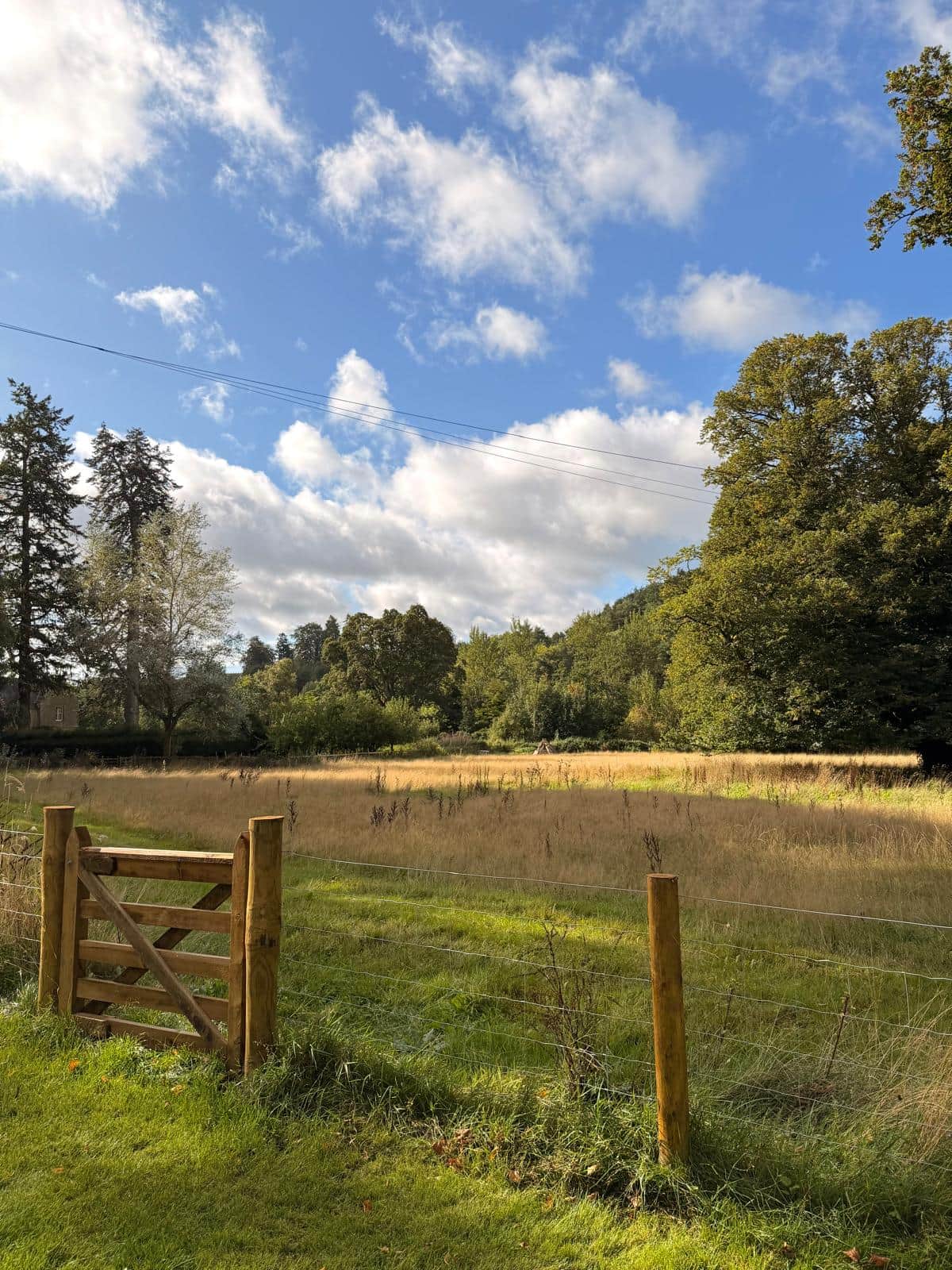 Private Paddock and Fishing