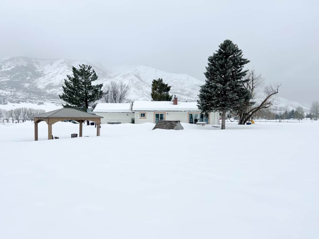 winter at the ranch