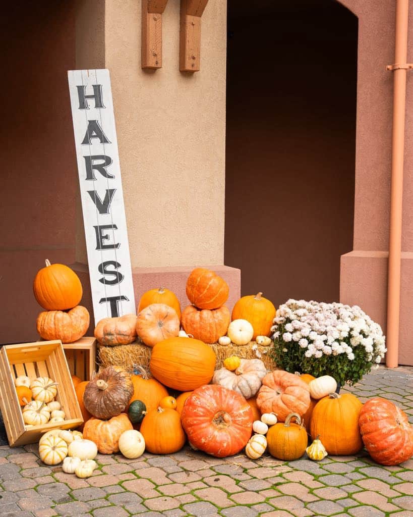 Happy Fall!