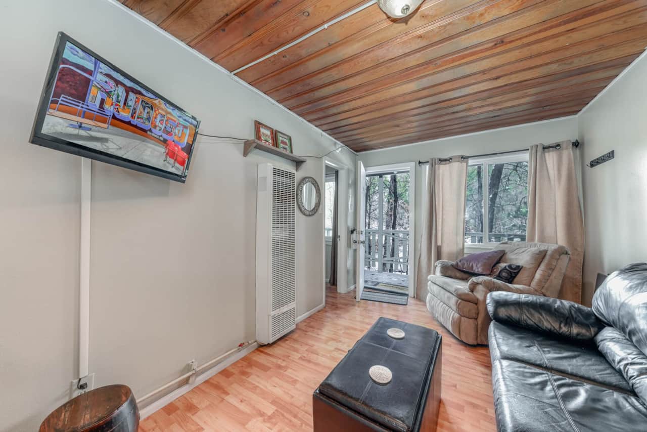 Living room w/ sleeper sofa
