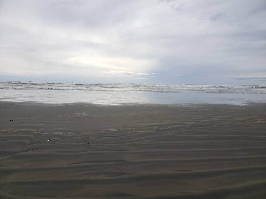 C3773c39 1931 422c 9d82 5748966c807f