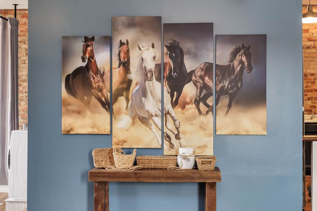 2-web-or-mls-Wild Equine 33 2-web-or-mls-Wild Equine 33