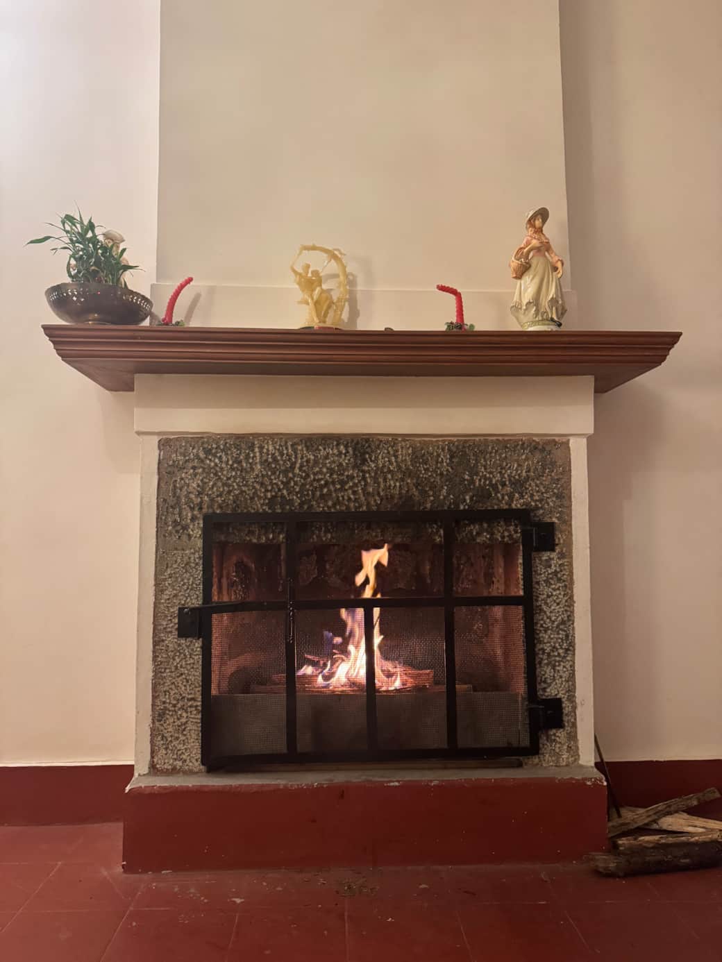 Springdale villa fireplace wood burning