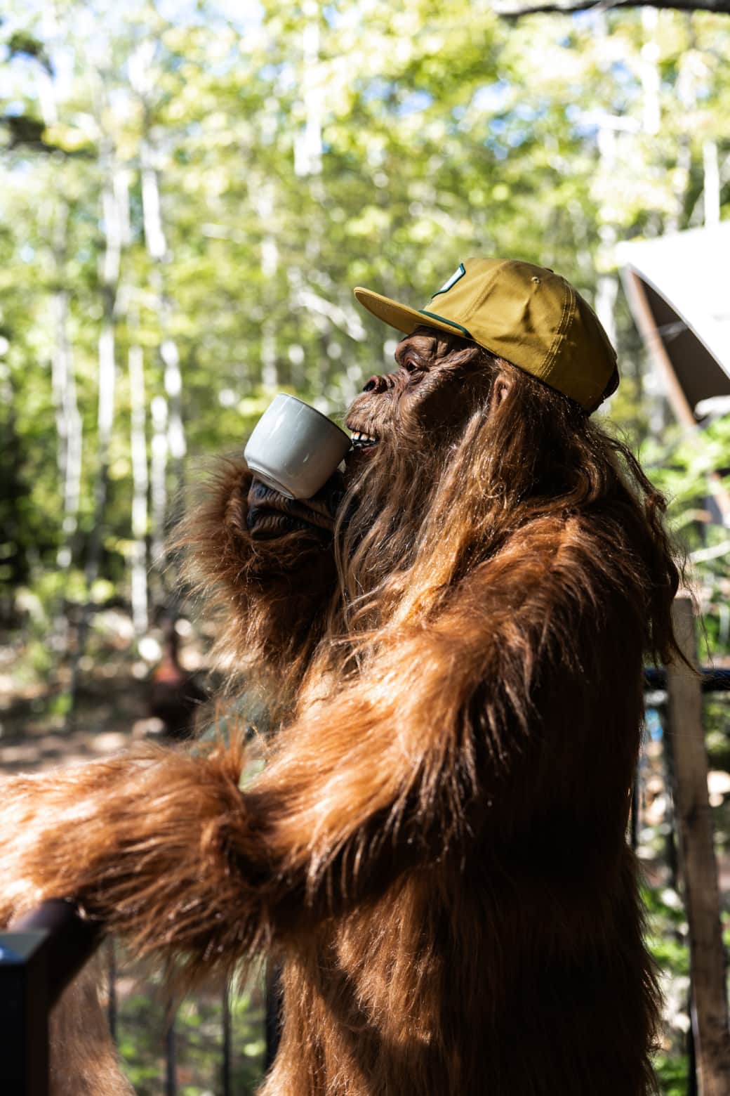 6 L3 A8362 6 L3 A8362