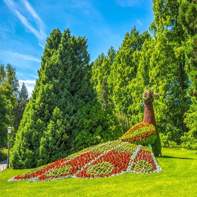 Insel Mainau | Deutschland