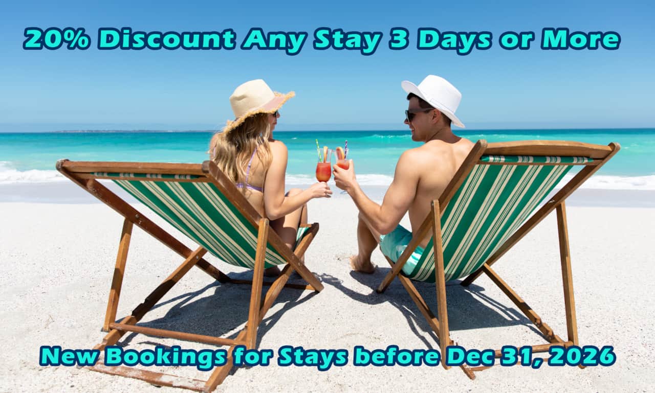 20% Discount