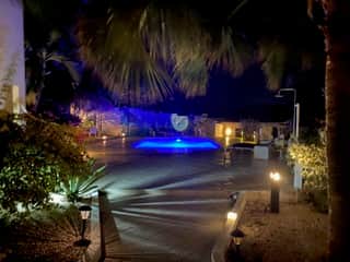 Garden at night