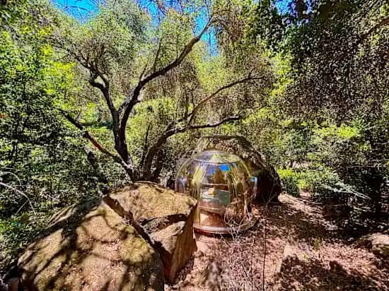 Harmony s glamping hermit dome central coast 3