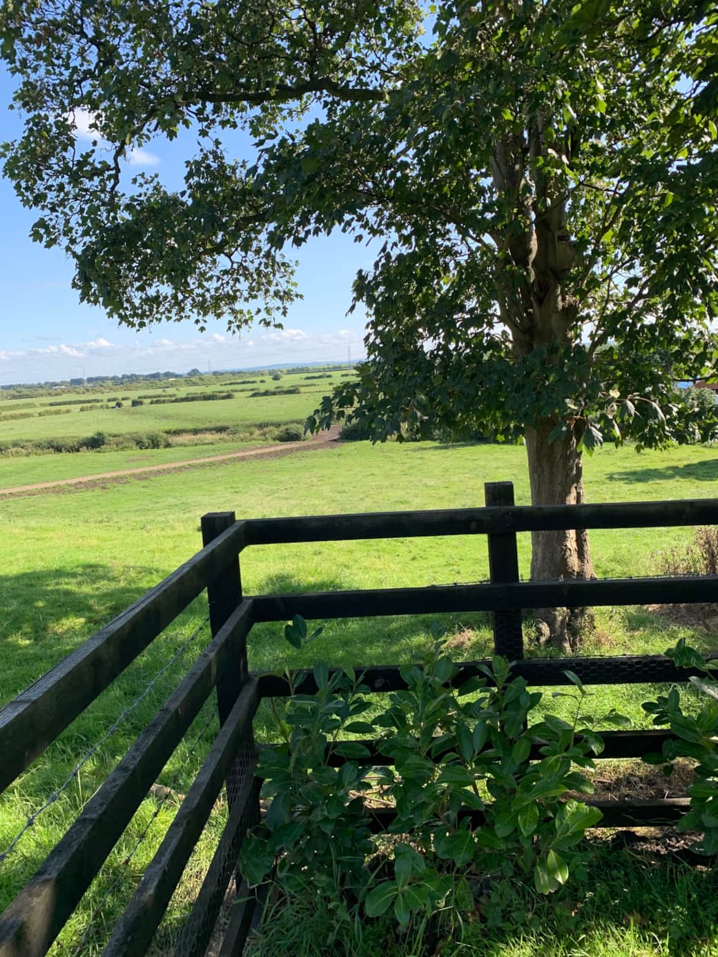 View from the back garden.