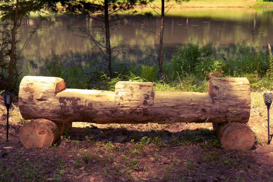 Organic tree benches - perfect for photo-ops! Organic tree benches - perfect for photo-ops!