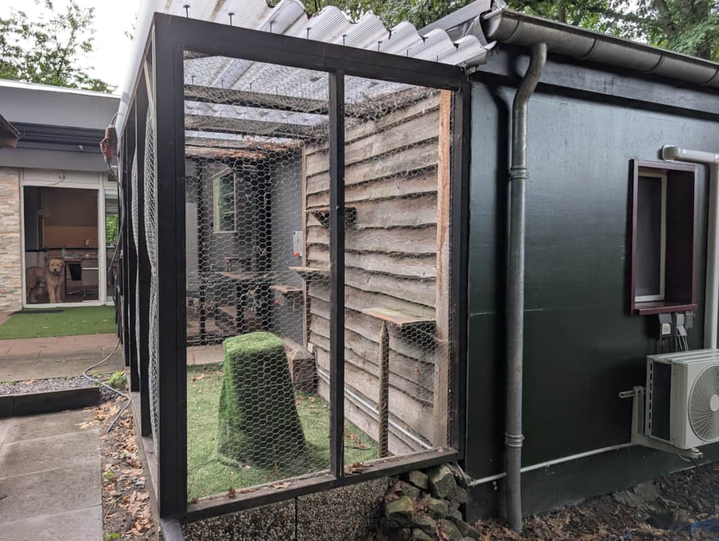 PXL 20250723 161107554