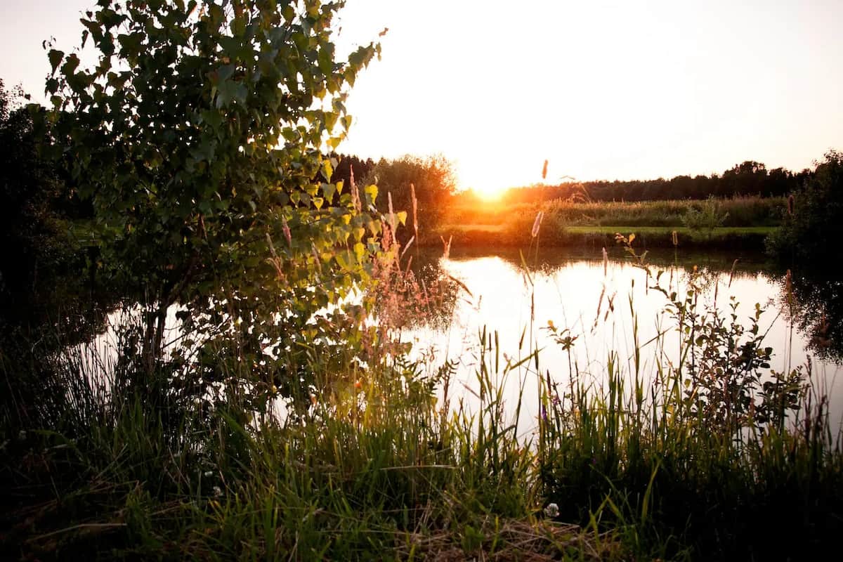 Romantischer Sonnenuntergang am Teich