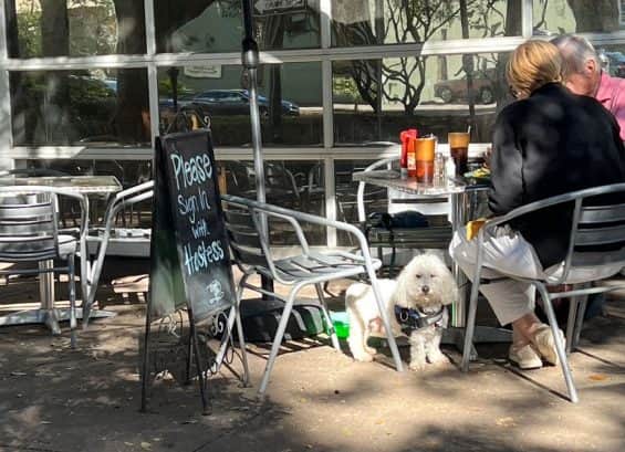 j-christophers-dog-friendly.jpg