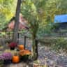 Rental image