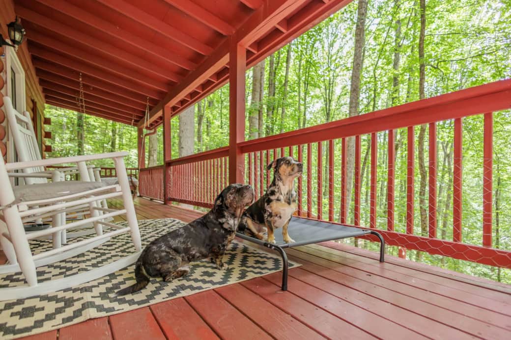 Cabin Pet Friendly Whittier Cherokee No Pet Fee Bryson City Sylva Cabin Pet Friendly Whittier Cherokee No Pet Fee Bryson City Sylva