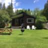 Rental image