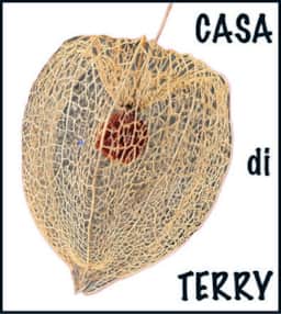 Logo Casa di Terry