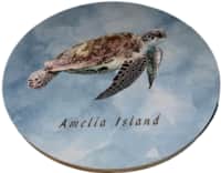 Surf and Volley Amelia