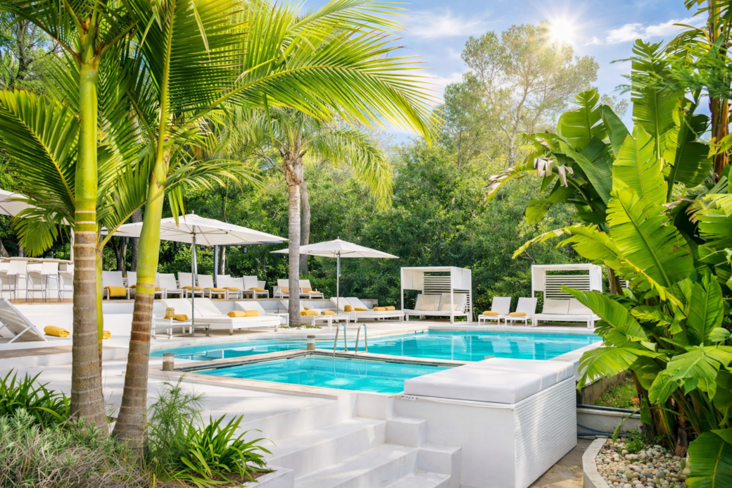 Whirlpool + Pool+ Tropenpflanzen Whirlpool + Pool+ Tropenpflanzen