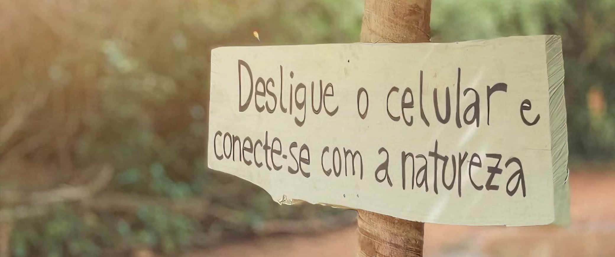 https://l.icdbcdn.com/oh/b45de5b5-2ca8-411e-ad8d-a8a21b31d3b0.jpg?w=2080-2