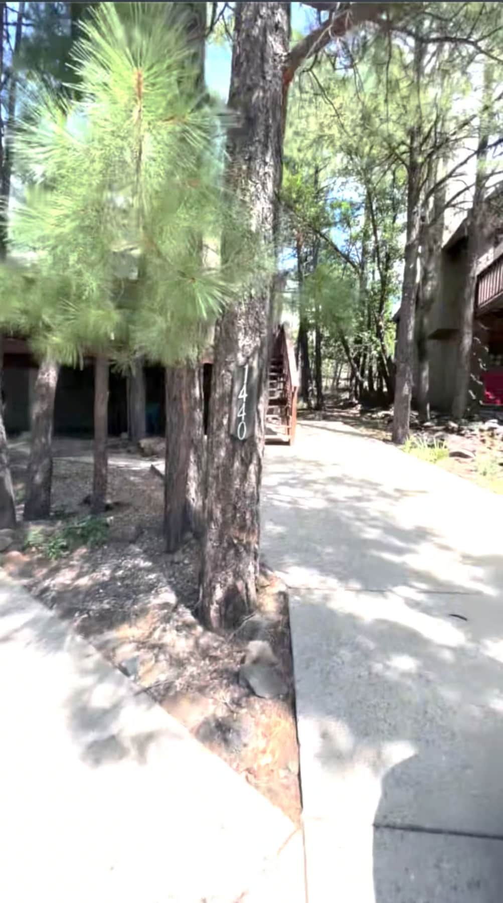 Walking path through trees to Munds Park cabin