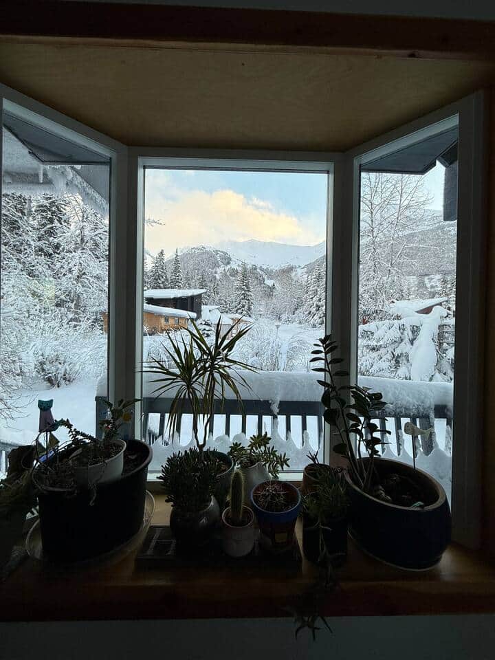 View from dining area
