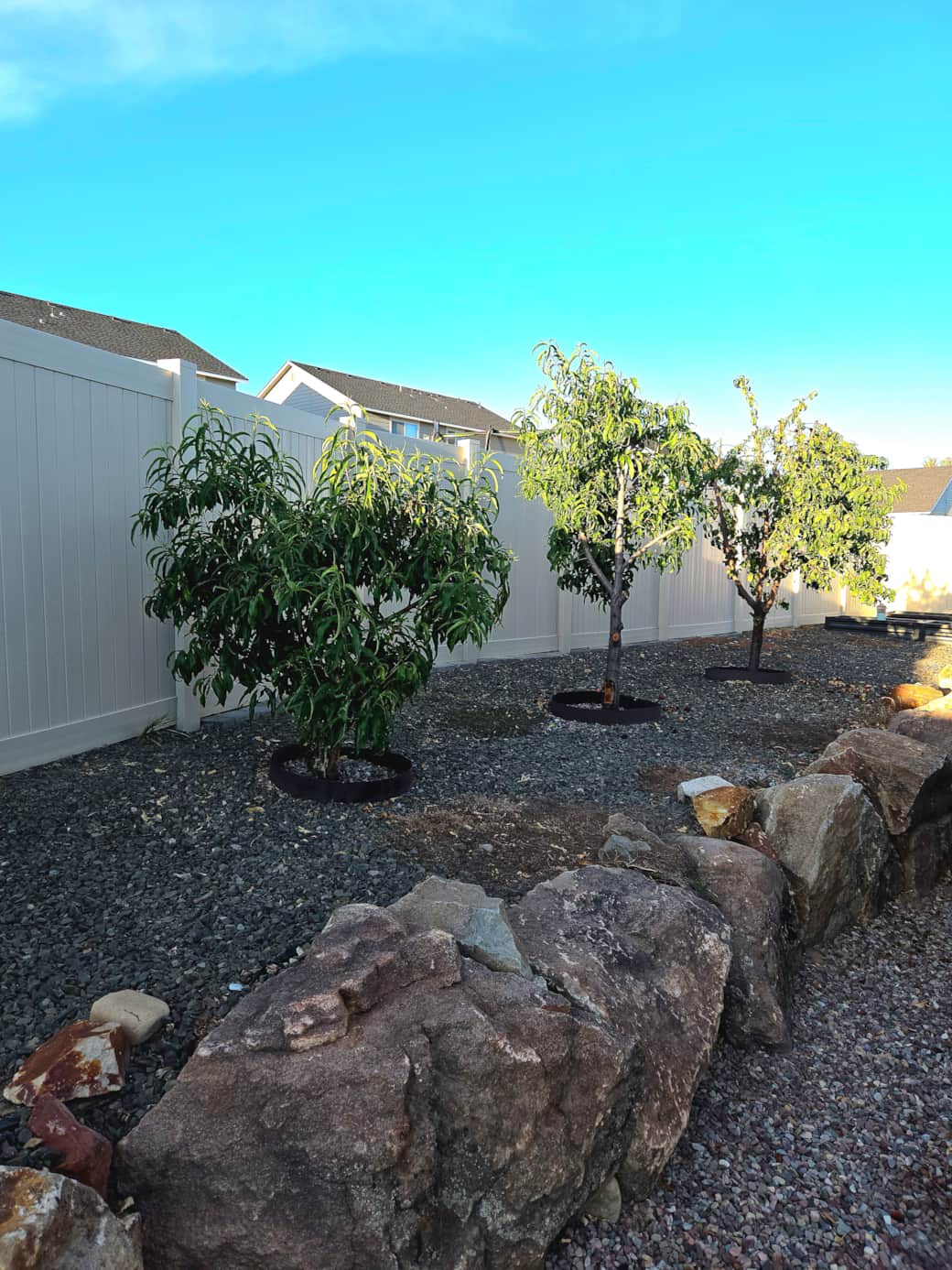 1000018977 1000018977