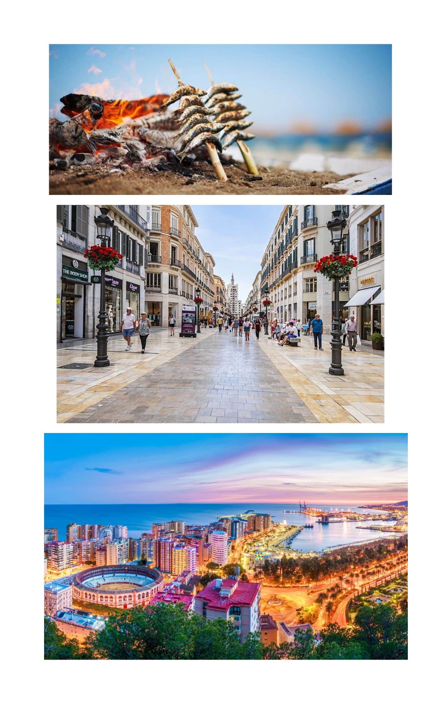 Dónde alojarse en Málaga