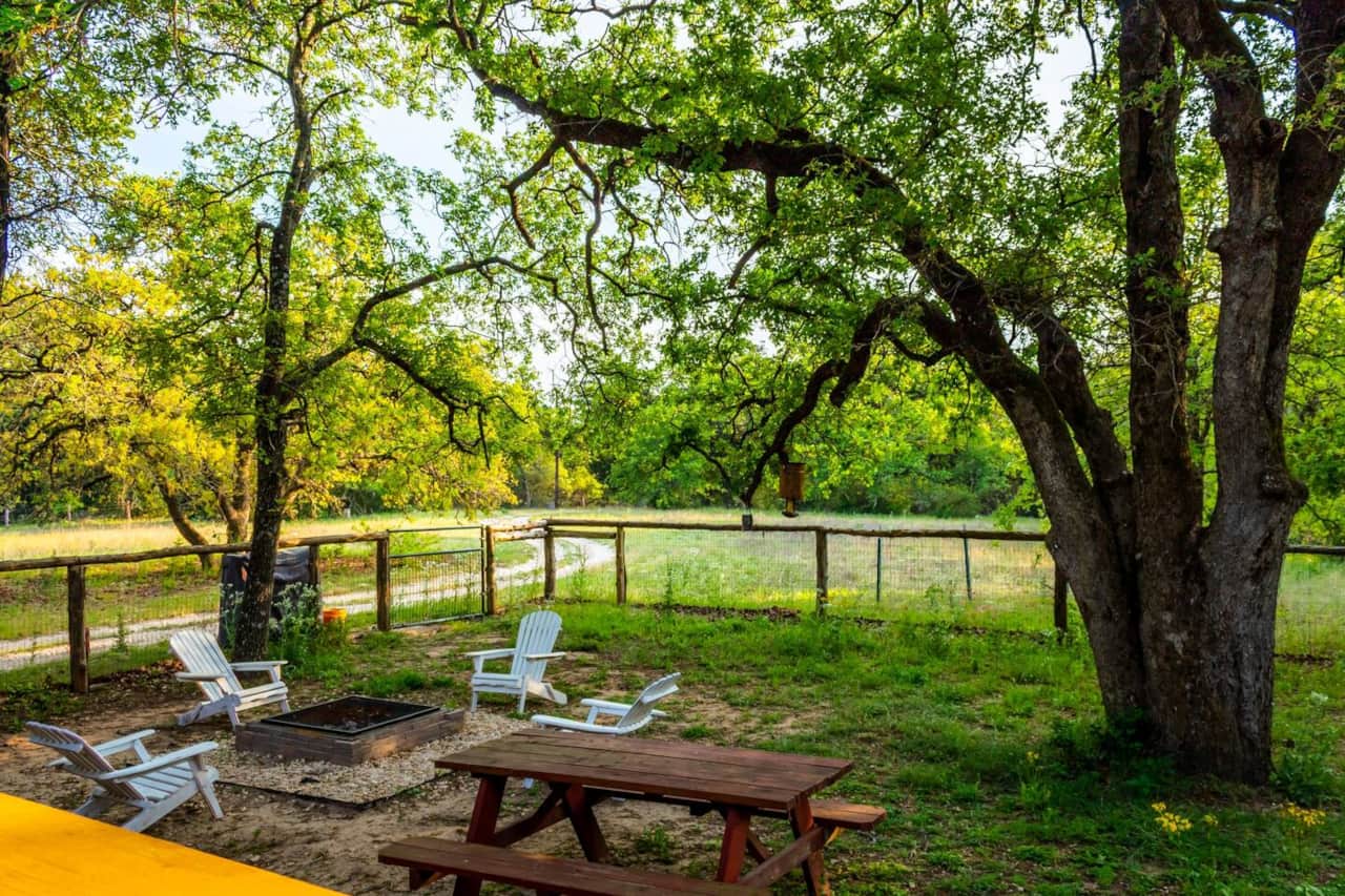 Peaceful backyard with fire pit