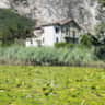 Rental image