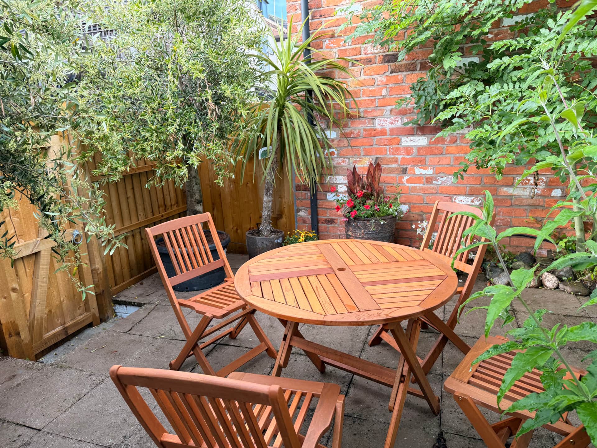 Courtyard garden with brick wall, pots and greenery