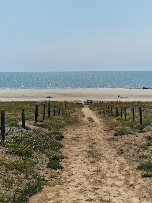 Plagedumidi Plagedumidi