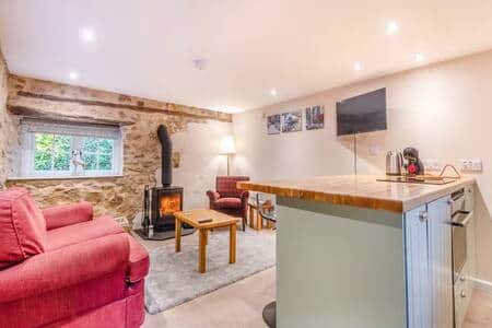 Downstairs living space with wood burning stove