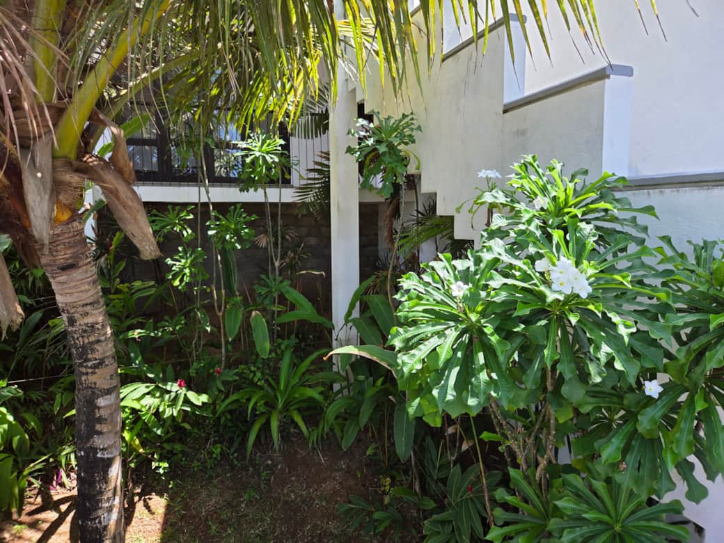 Garden from yoga deck