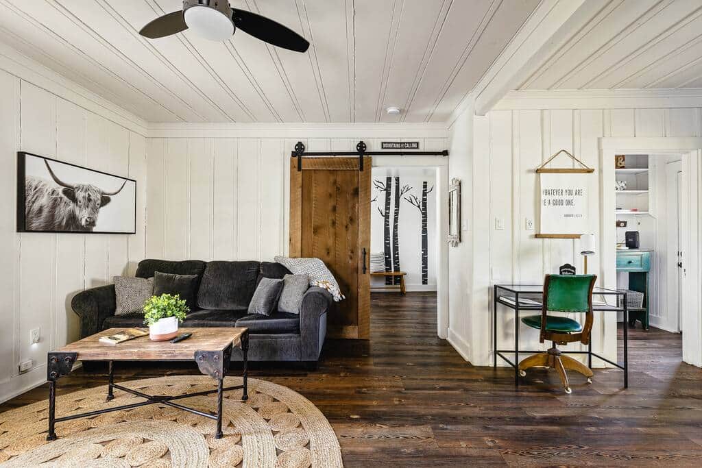 Living room with sofa sleeper